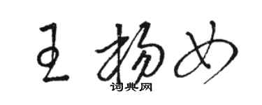 駱恆光王楊女草書個性簽名怎么寫