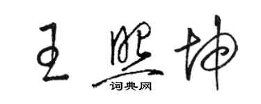 駱恆光王照坤草書個性簽名怎么寫