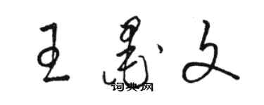 駱恆光王墨文草書個性簽名怎么寫