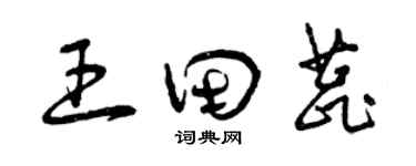 曾慶福王田蕊草書個性簽名怎么寫