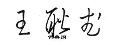 駱恆光王耿武草書個性簽名怎么寫