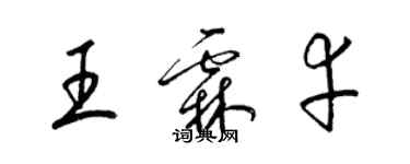 梁錦英王霖幸草書個性簽名怎么寫