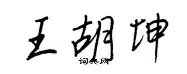 王正良王胡坤行書個性簽名怎么寫
