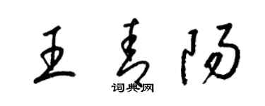 梁錦英王青陽草書個性簽名怎么寫