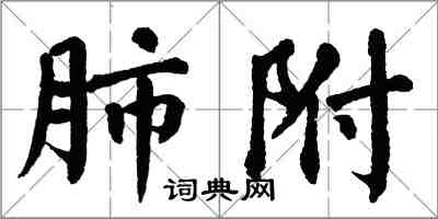 翁闓運肺附楷書怎么寫