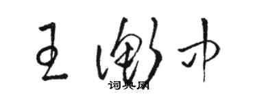 駱恆光王衡中草書個性簽名怎么寫