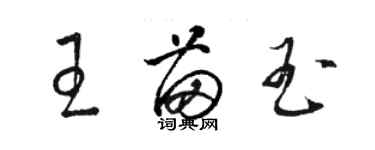 駱恆光王苗玉草書個性簽名怎么寫