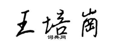 王正良王培崗行書個性簽名怎么寫