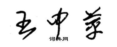 朱錫榮王中苹草書個性簽名怎么寫