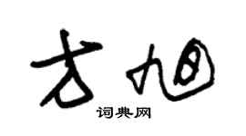 朱錫榮方旭草書個性簽名怎么寫