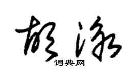 朱錫榮胡泳草書個性簽名怎么寫