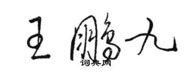 駱恆光王鵬九草書個性簽名怎么寫