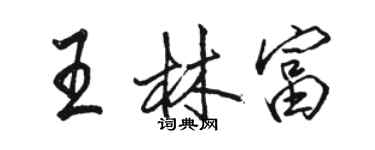 駱恆光王林富行書個性簽名怎么寫