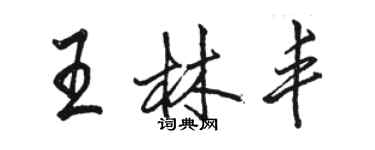 駱恆光王林豐行書個性簽名怎么寫