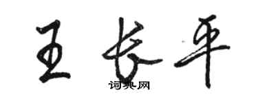 駱恆光王長平行書個性簽名怎么寫