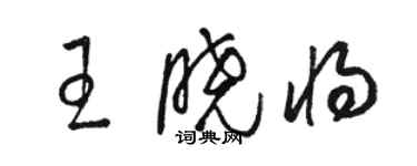 駱恆光王曉將草書個性簽名怎么寫