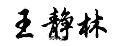胡問遂王靜林行書個性簽名怎么寫