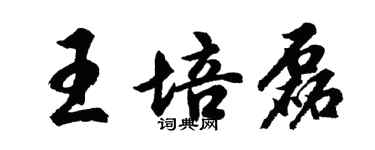 胡問遂王培磊行書個性簽名怎么寫