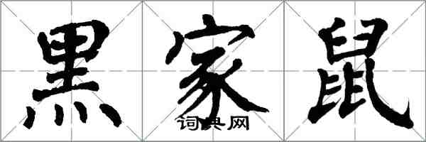 翁闓運黑家鼠楷書怎么寫