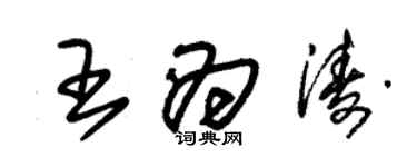 朱錫榮王為濤草書個性簽名怎么寫