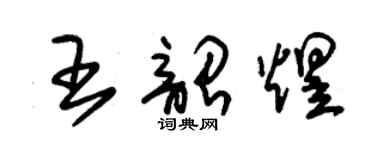 朱錫榮王韶煜草書個性簽名怎么寫