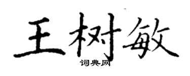 丁謙王樹敏楷書個性簽名怎么寫