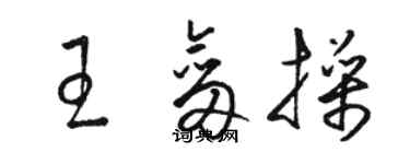 駱恆光王劍操草書個性簽名怎么寫