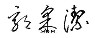 駱恆光郭采潔草書個性簽名怎么寫