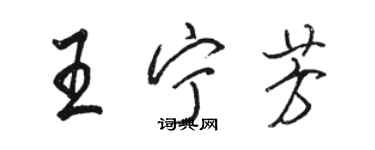 駱恆光王寧芳行書個性簽名怎么寫