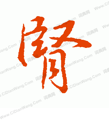 水島修三寫的腎