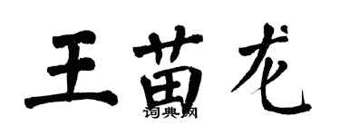翁闓運王苗龍楷書個性簽名怎么寫