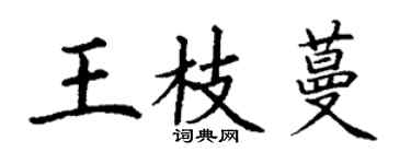 丁謙王枝蔓楷書個性簽名怎么寫