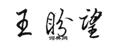 駱恆光王盼望行書個性簽名怎么寫