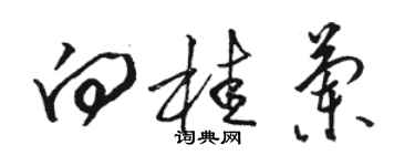 駱恆光向桂蘭草書個性簽名怎么寫