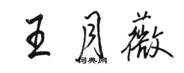 駱恆光王月薇行書個性簽名怎么寫