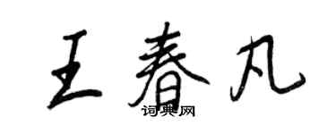 王正良王春凡行書個性簽名怎么寫