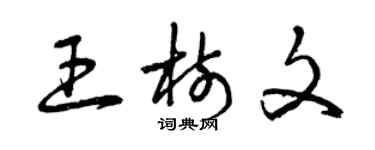 曾慶福王樹文草書個性簽名怎么寫