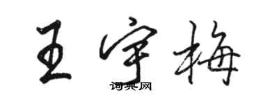 駱恆光王宇梅行書個性簽名怎么寫