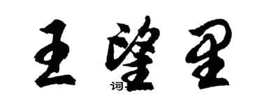 胡問遂王望里行書個性簽名怎么寫