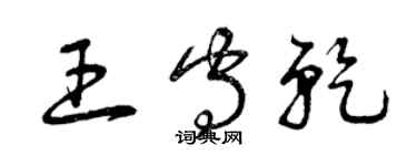 曾慶福王守乾草書個性簽名怎么寫