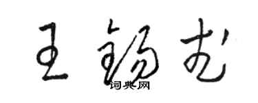 駱恆光王錫武草書個性簽名怎么寫