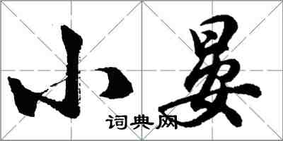 胡問遂小晏行書怎么寫