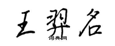 王正良王羿名行書個性簽名怎么寫