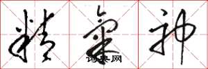 駱恆光精氣神草書怎么寫
