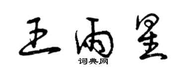 曾慶福王雨星草書個性簽名怎么寫