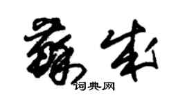 朱錫榮蘇成草書個性簽名怎么寫