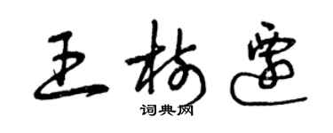 曾慶福王樹遷草書個性簽名怎么寫