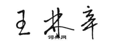 駱恆光王林辛草書個性簽名怎么寫