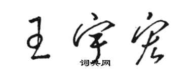 駱恆光王宇宏草書個性簽名怎么寫