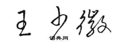 駱恆光王少徽草書個性簽名怎么寫